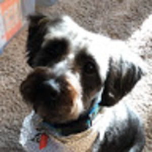 Meet your Posher, Anne